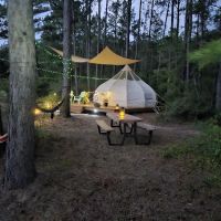 Wild Wood Haven ico