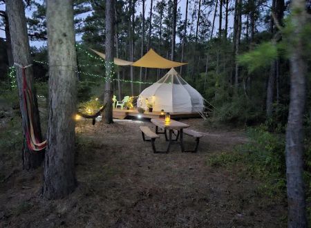 Wild Wood Haven