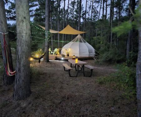 Wild Wood Haven