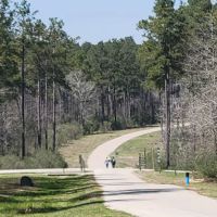 Camp Strake Campsite 18 ico