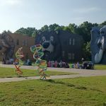 The Wild at Carolina Creek