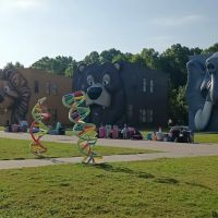 The Wild at Carolina Creek ico