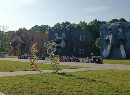 The Wild at Carolina Creek