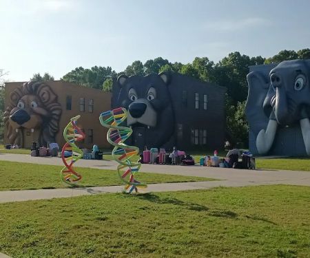 The Wild at Carolina Creek