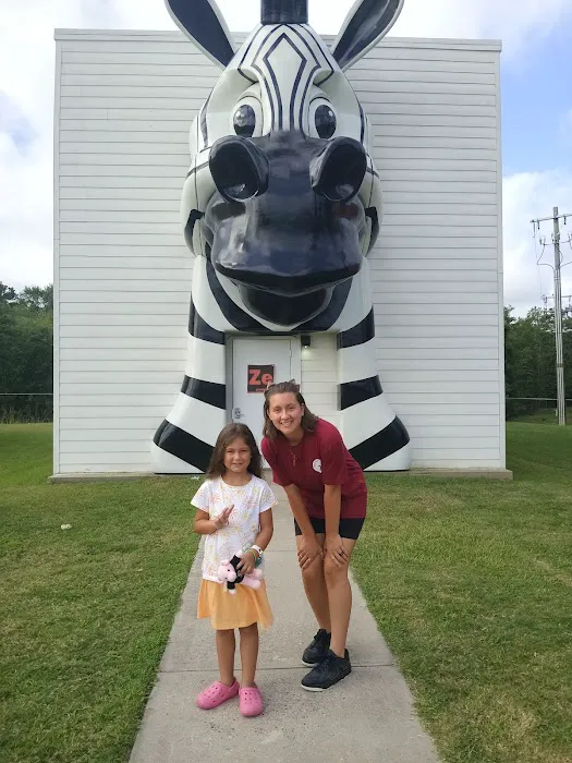 The Wild at Carolina Creek Picture 4