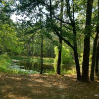 514-D White Rock Horse Camp ico