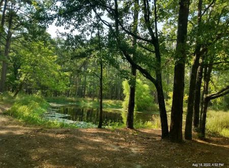 514-D White Rock Horse Camp