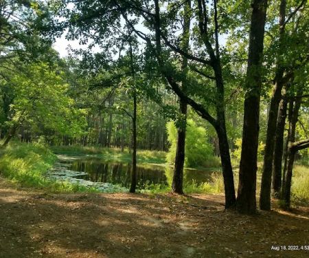 514-D White Rock Horse Camp