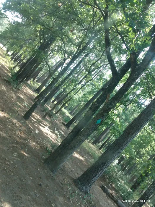514-D White Rock Horse Camp Picture 6