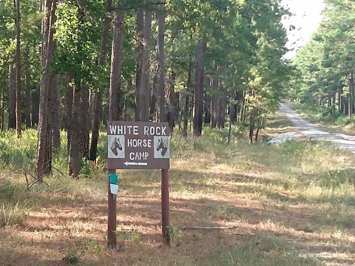 514-D White Rock Horse Camp Picture 7