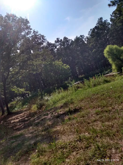 514-D White Rock Horse Camp Picture 8