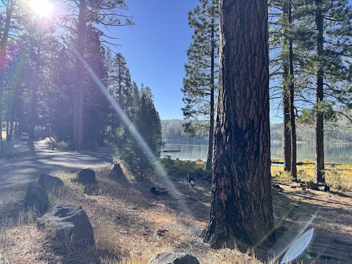 Blue Lake Campground Picture 1