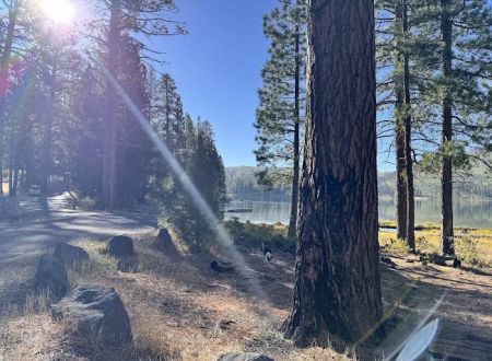 Blue Lake Campground