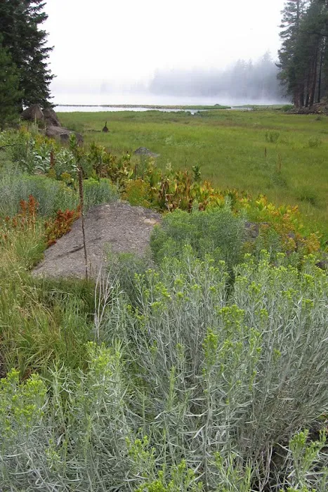Blue Lake Campground Picture 8