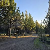 Dry Creek Campground ico