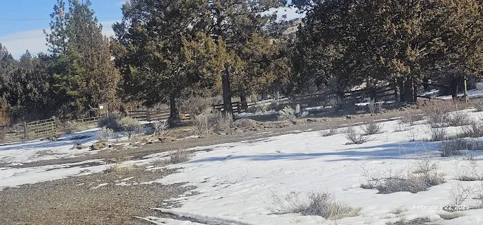 Dry Creek Campground Picture 2