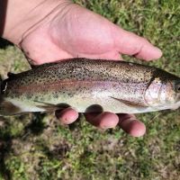 Ash Creek Campground ico