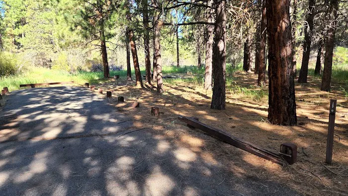 Willow Creek Campground Picture 2