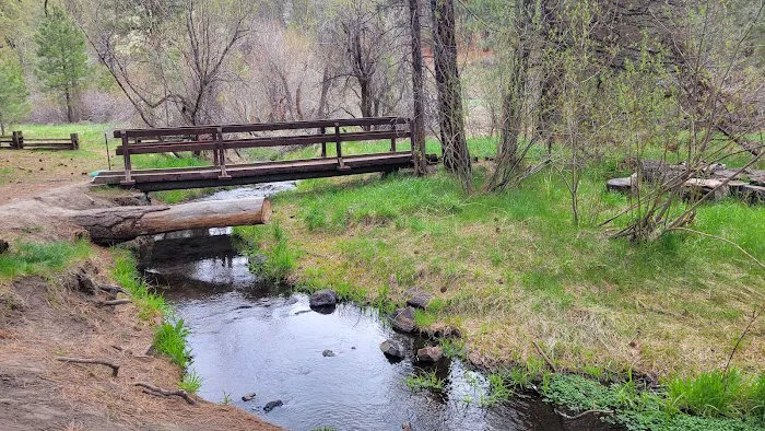 Willow Creek Campground Picture 1