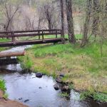 Willow Creek Campground