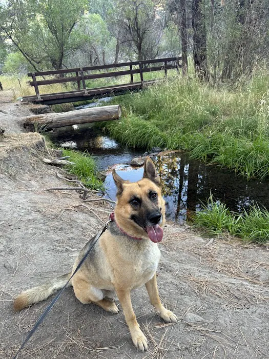 Willow Creek Campground Picture 6