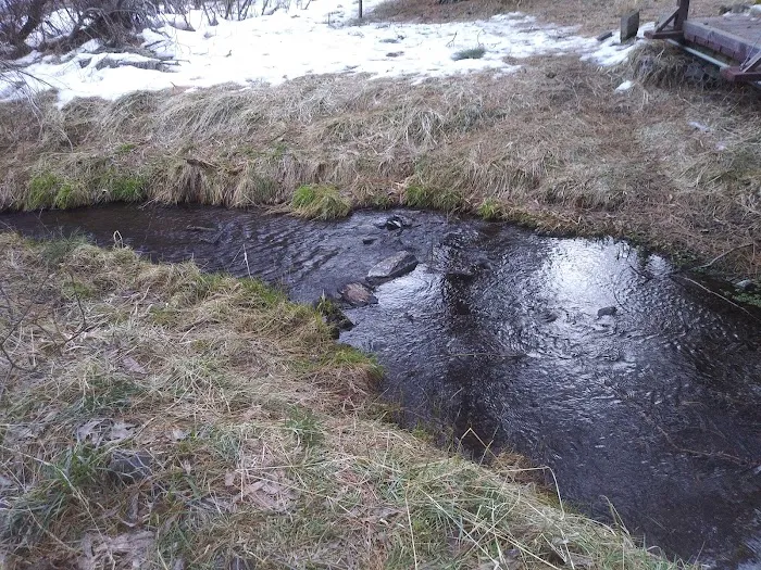 Willow Creek Campground Picture 5