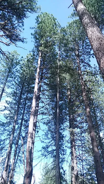 Willow Creek Campground Picture 7