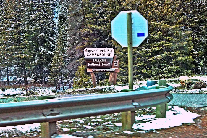 Moose Creek Flat Campground Picture 10