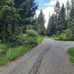 Swan Creek Campground