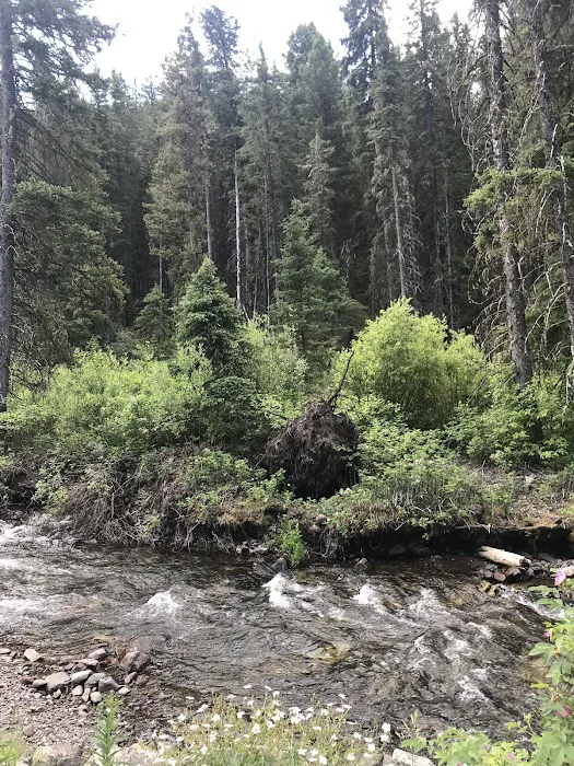 Swan Creek Campground Picture 3