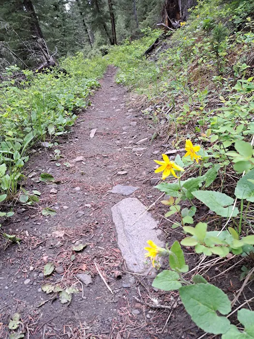 Swan Creek Campground Picture 6