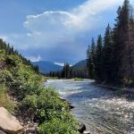 Moose Creek Group Site