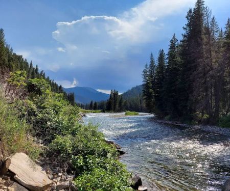 Moose Creek Group Site