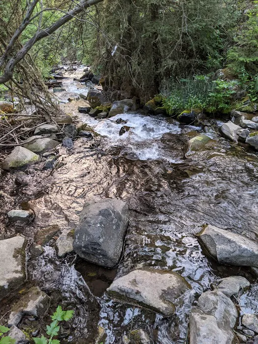 Moose Creek Group Site Picture 2
