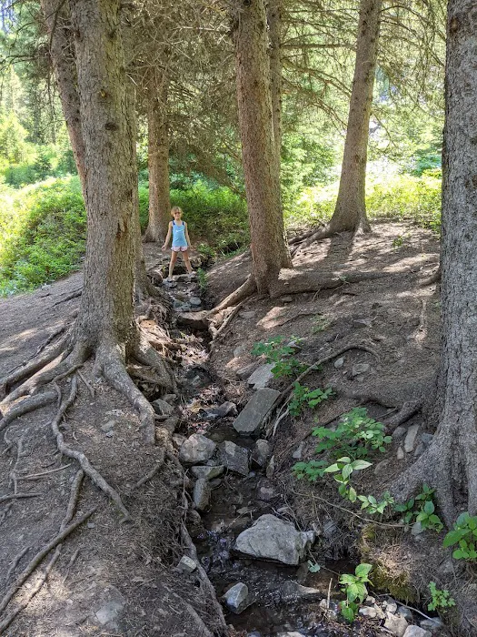 Moose Creek Group Site Picture 5