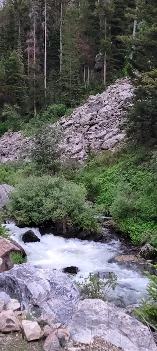 Lower Hyalite Group Campground Picture 10