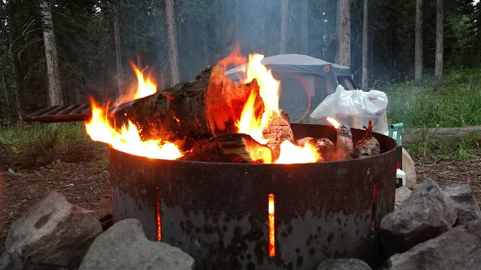 Langohr Springs Campground Picture 2