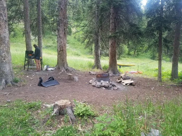 Langohr Springs Campground Picture 5