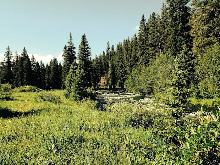 Langohr Springs Campground Picture 9
