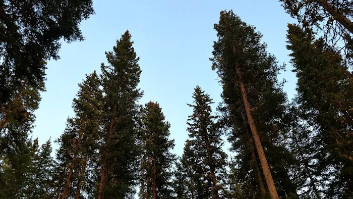 Langohr Springs Campground Picture 7