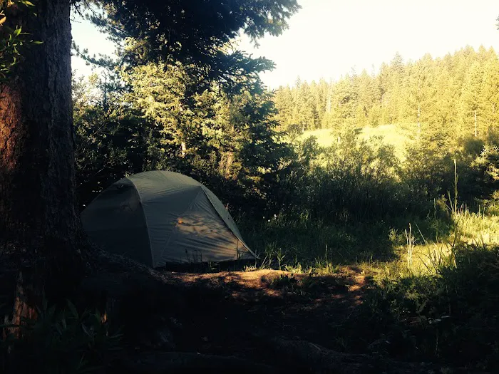 Langohr Springs Campground Picture 8