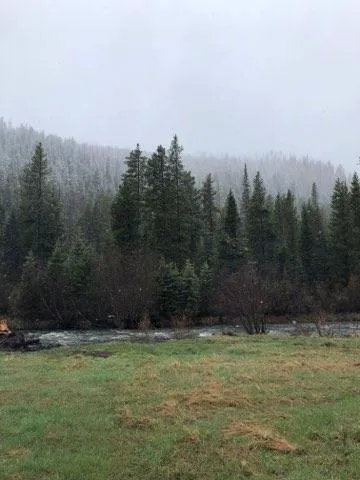Langohr Campground Picture 10