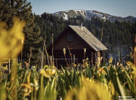 WINDY PASS CABIN