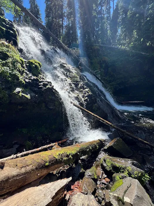 Hood Creek Campground Picture 5