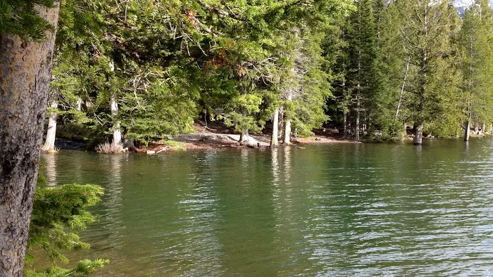 Hood Creek Campground Picture 10