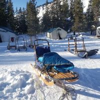 Taylor Fork Road ico