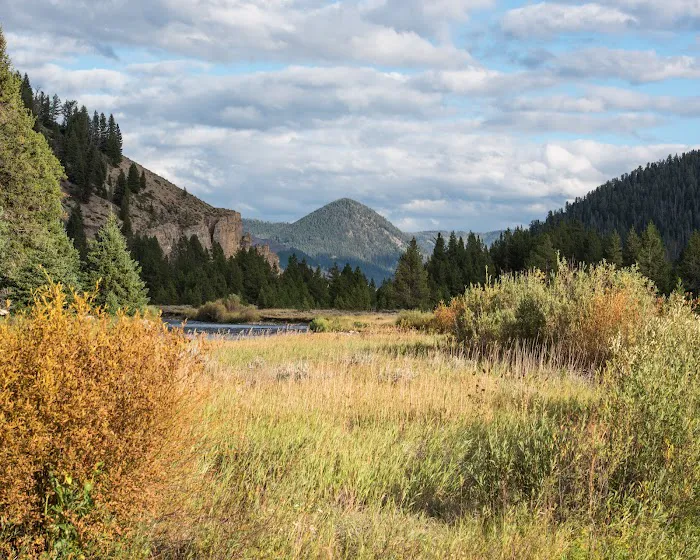 Taylor Fork Road Picture 7