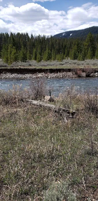 Taylor Fork Road Picture 9
