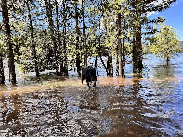 Chisholm Campground Picture 6