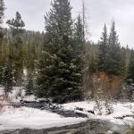 Moose Creek Campground